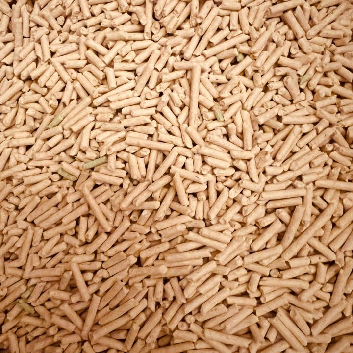 pexels curtis wong 782833963 19757403